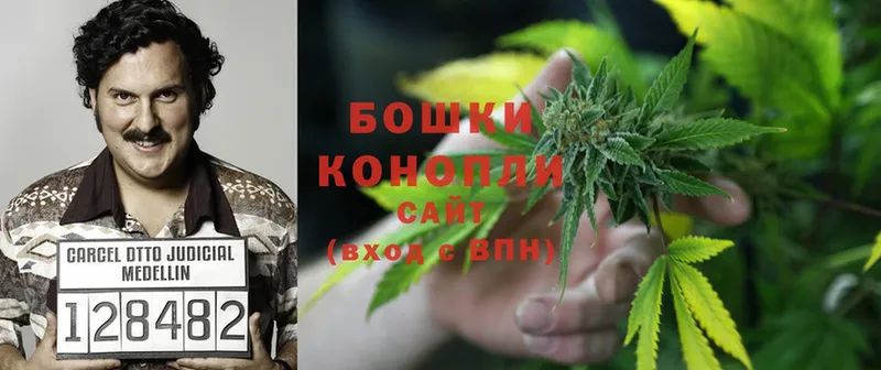 Конопля SATIVA & INDICA  Кувшиново 